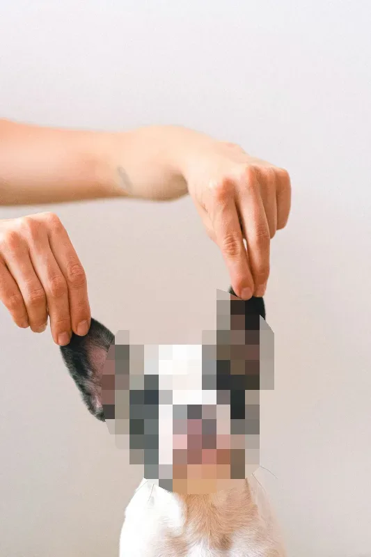 Pixelate an Animal Photo result
