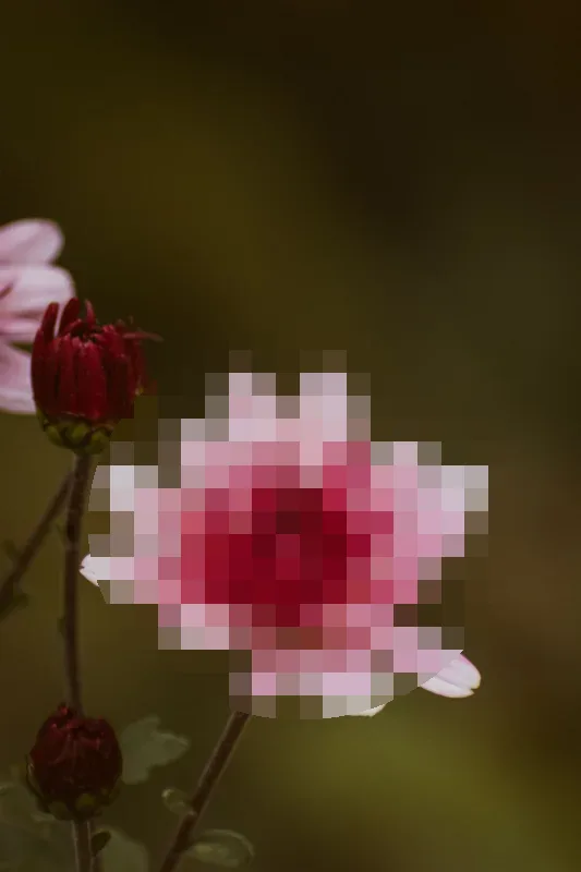 Pixelate a Flower result