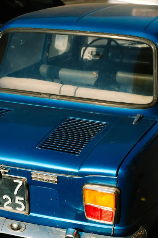 Hide a Car License Plate input